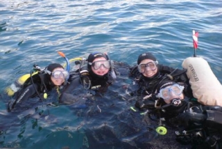 Group of divers in the water